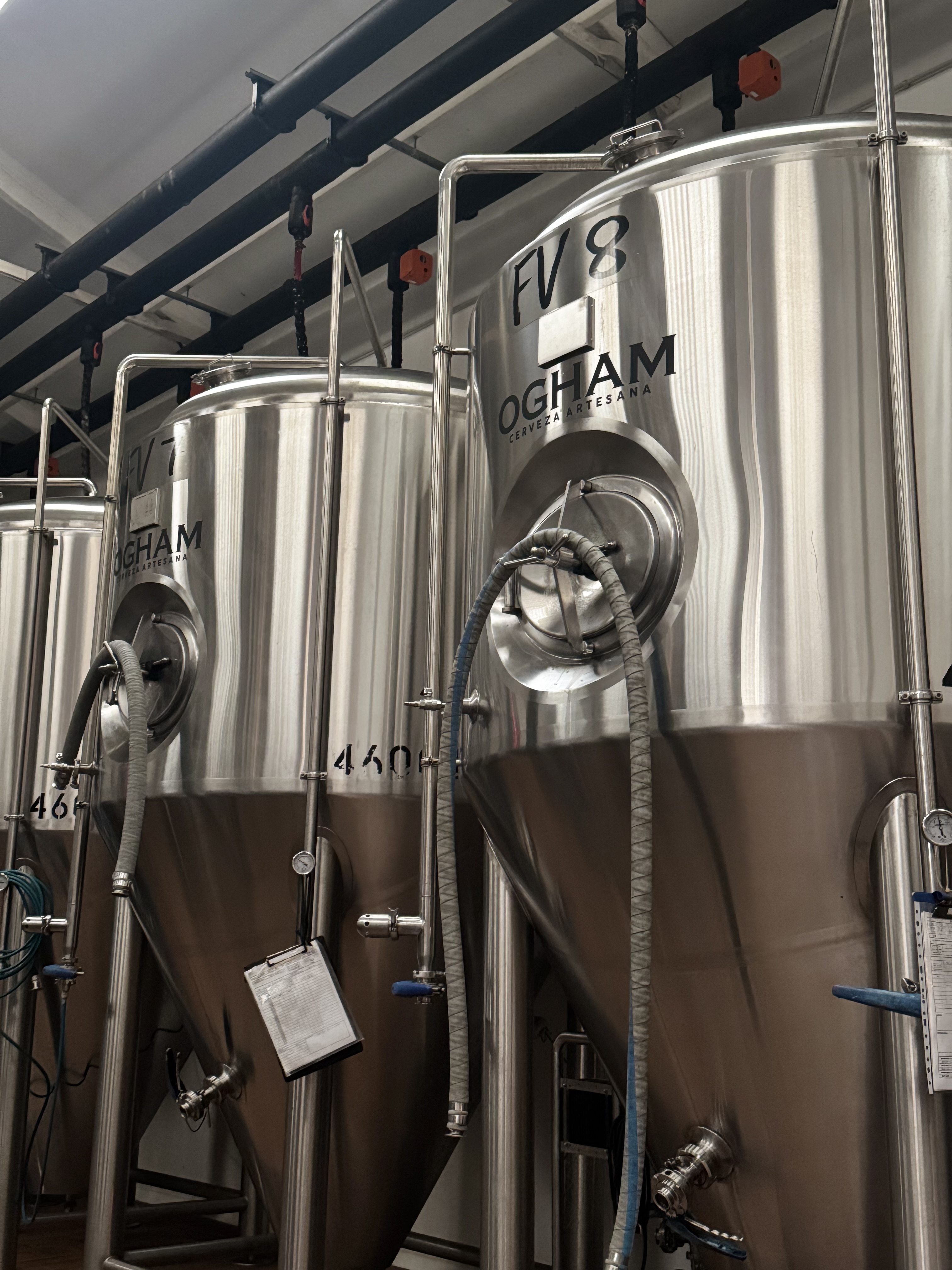 OGHAM Cerveza Artesana — imagen 16